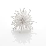 Junko Mori, Silver Organism, Young Fern, 2023