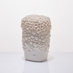 Hitomi Hosono, A Very Large Zenmai Open Bowl, 2017