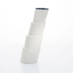 Elizabeth Fritsch, Blown Away, Crescendo Cup, circa 1991