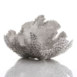 Junko Mori, Silver Organism, Tulip Rococo, 2023