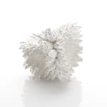 Junko Mori, Moss Ginkgo, 2013