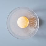 Vezzini and Chen, Evolve III Desk Lamp, 2022