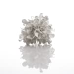 Junko Mori, Moss Ginkgo, 2013