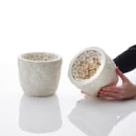 Hitomi Hosono, A Tall Round Zenmai, Mizukusa and Daisy Box, 2023
