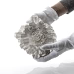 Junko Mori, Silver Organism, Tulip Rococo, 2023