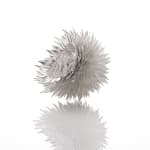 Junko Mori, Silver Organism, Dense Nigella, 2024