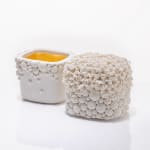 Hitomi Hosono, A Very Large Zenmai Open Bowl, 2017