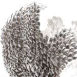 Junko Mori, Silver Organism, Tulip Rococo, 2023