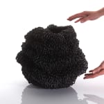 Junko Mori, Propagation Project: Surf Conch, 2023