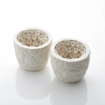 Hitomi Hosono, A Tall Round Zenmai, Mizukusa and Daisy Box, 2023