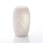 Hitomi Hosono, A Tall Round Zenmai, Mizukusa and Daisy Box, 2023