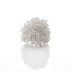 Junko Mori, Moss Ginkgo, 2013