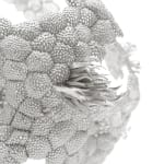 Kate Malone, A Large White Atomic Vase, 2024