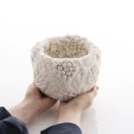 Hitomi Hosono, A Sakura, English Daisy and Leaves Bowl, 2024