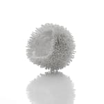 Junko Mori, Moss Ginkgo, 2013