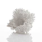 Junko Mori, Moss Ginkgo, 2013