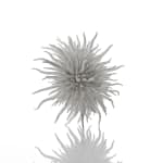 Junko Mori, Propagation Project; Botany, 2024