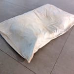 Gavin TURK, Oeuvre (Duck), 2002