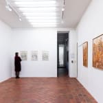 View of Salifou Lindou's solo project in Paris at AFIKARIS Gallery Les collines de l'espoir