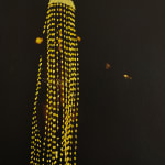Marc Posso photograph. Gabonese Artist. Young artist. Contemporary african art in Paris. AFIKARIS Gallery. Self-taught Photographer. Photography printed on canvas. Diversity of the African continent. Gold photography.