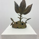 Hervé Yamguen, Nature merveilles, 2023