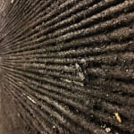 Mouhcine Rahaoui painting. Moroccan Artist. Contemporary African art in Paris. AFIKARIS PARIS. Mixed media (charcoal, wax, glue, plastic, wax, resin) on canvas. Installations. Ready-made.