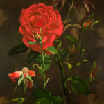 Anna Zinkeisen Study of Roses