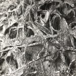 Bozena Kaluga, Wednesday, 2002