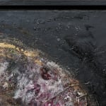 Agata di Masternak, Galaxy series Nb 3, 2016