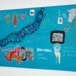 Denilson Baniwa, Amaáka (Coivara), Cápsulas de uma memória em trânsito [Capsules of a memory in transit], 2020