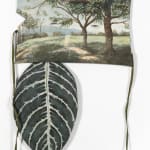 Laura Lima, Nômade, 2007