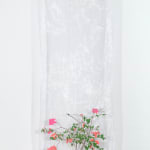 Ana Silva, Sem título [Untitled], 2025