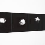 Maria Laet, Sustentação (II), 2010/2020