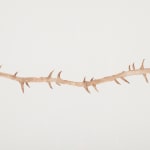 Sallisa Rosa, Resistência, 2017-2019