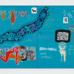 Denilson Baniwa, Amaáka (Coivara), Cápsulas de uma memória em trânsito [Capsules of a memory in transit], 2020