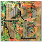patrick rubinstein, Toucancan, 2024, SOLD