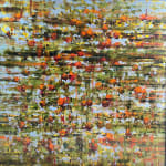 Ali Hasmut, Sweet Oranges, 2024