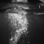Fiona Ones, Evening Dive, 2016