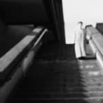 Fiona Ones, Evening Dive, 2016