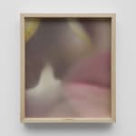 Johan De Wit, Untitled, 2018
