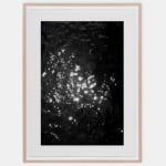 WeiXin Quek Chong, orchid breathing in deep blue mode 1-3., 2021