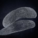 Alia Hussain Lootah, Study - No. 1, 2020