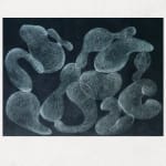 Alia Hussain Lootah, Study - No. 1, 2020