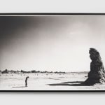Shirin Neshat, Passage, 2001