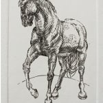 Alessandro Lima, Cavalo, 2011