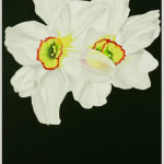 Flavia Bertinato, Sem Título - Serie Vento Forte, 2010