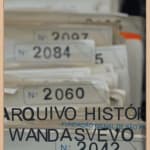 Mabe Bethônico, Um viajante depois do outro V