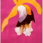 Flavia Bertinato, Sem Título - Serie Vento Forte, 2010