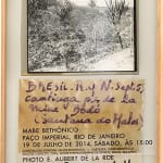 Mabe Bethônico, Um viajante depois do outro V