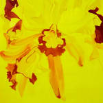 Flavia Bertinato, Sem Título - Serie Vento Forte, 2010